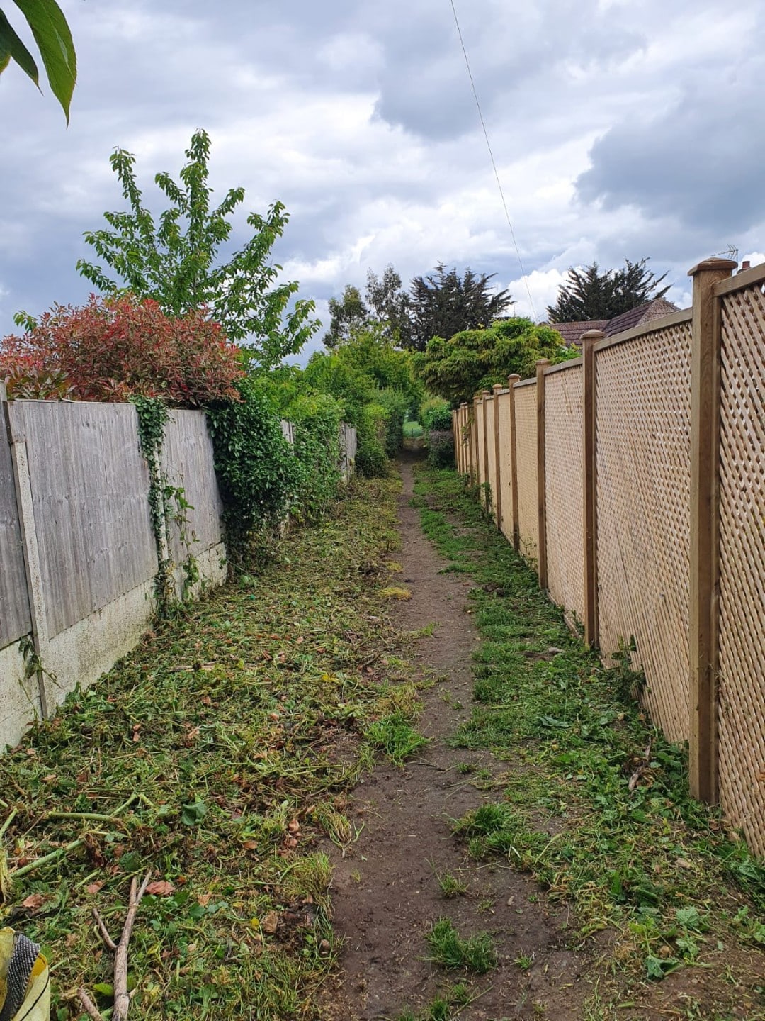 Wm Tree Our Recent Projects | WM Tree Services